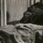 closely cropped image of teenage boy lounging in a chair next to a window, his head only visible in the reflection