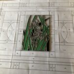 the panel with two white Irises is laid down at the center of the sketch for the larger window, which has much larger, more geometric shapes