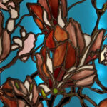 view of a cluster of pink Magnolia flowers on branches of varying widths, with a deep blue transparent sky peeking through in the background