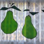 pears of different sizes, shapes and with different amounts of leaves all hung together as a group