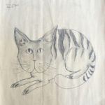 A striped cat sitting on the ground looking up with a nice round body and tail and front legs resting out in front
