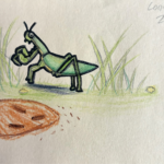 A color drawing of a grasshopper among blades of grass looking at a chocolate chip cookie in the foreground; the grasshopper is shaded to create form to its body but is also neatly outlined in heavy black lines