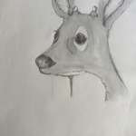 The head of a deer looking to the left with a big, but naturalistic looking black nose and small nubs for antlers, and smooth light gray shading distinguishing the darker fur of the head and back from the white patch at the throat and around the eyes